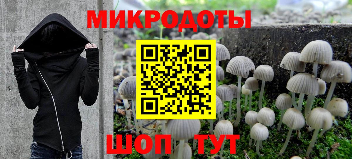 Галлюциногенные грибы Psilocybine cubensis Советск