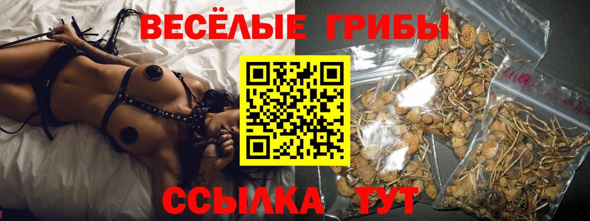 Псилоцибиновые грибы мухоморы  Вход с VPN  Псилоцибиновые грибы MAGIC MUSHROOMS  купить закладку  Советск 